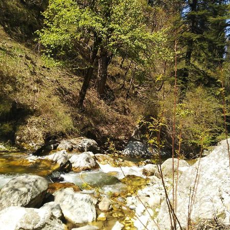 Latoda Eco Lodge Jibhi Zewnętrze zdjęcie