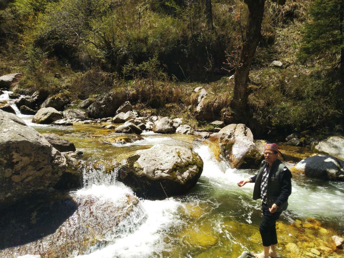 Latoda Eco Lodge Jibhi Zewnętrze zdjęcie